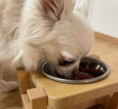 おこめくんがごはんを食べる様子